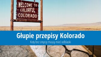 Głupie przepisy Kolorado – Koty muszą mieć odblaski