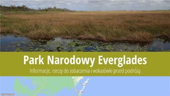 Park Narodowy Everglades – informacje, co zobaczyć, zdjęcia