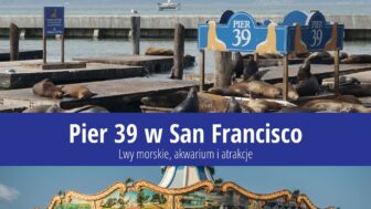 Pier 39 w San Francisco – lwy morskie, akwarium, zdjęcia